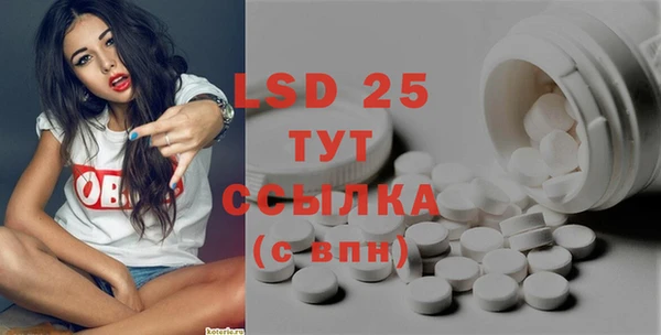 гидропоника Гусиноозёрск