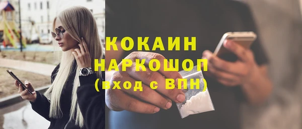 гидропоника Гусиноозёрск