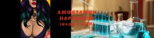 гидропоника Гусиноозёрск