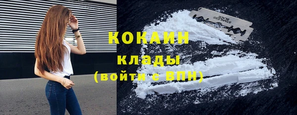 гидропоника Гусиноозёрск