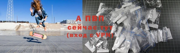 гидропоника Гусиноозёрск