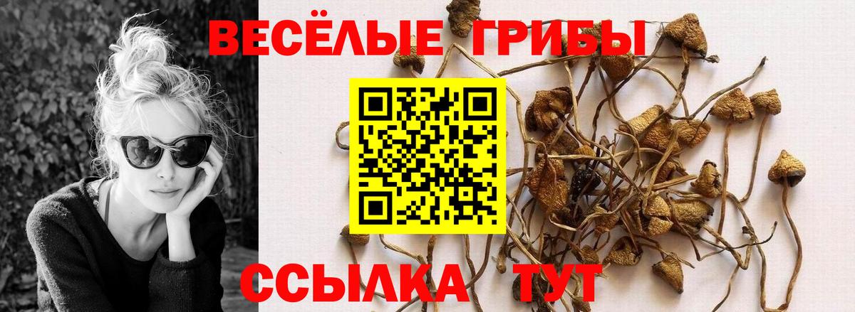 Галлюциногенные грибы Magic Shrooms Можайск