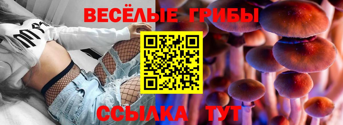 хочу   Галлюциногенные грибы Cubensis  Вход с VPN  Можайск 